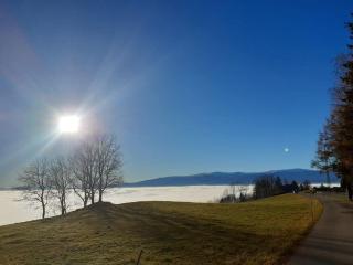 Almhütte - Waldenstein - 7