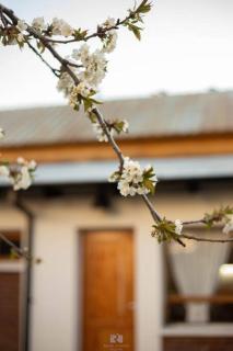 Casa Jardin Adesmia - Esquel - 9