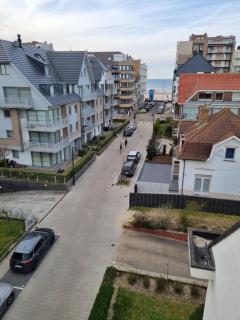 Kunstenaarslaan De Panne - De Panne - 3
