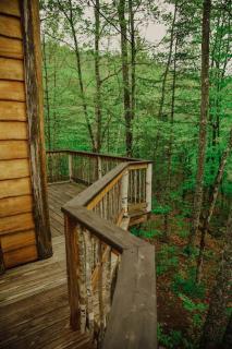 Treehouse in Maine woods- The Grand Oak - North Lovell - 6