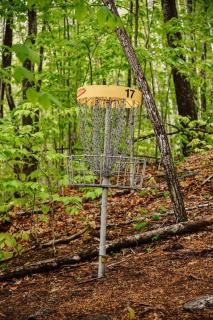Maine Treehouse-The Spruce Suite - North Lovell - 8