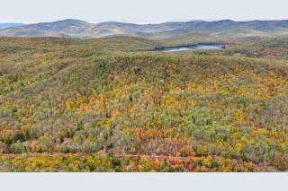 Maine Treehouse-The Spruce Suite - North Lovell - 1