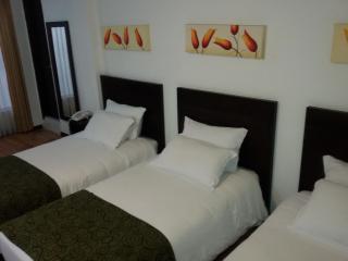 Europa Hotel Boutique Manizales - Manizales - 7