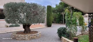 La villa les parfums d’Ete - Ornaisons - 8