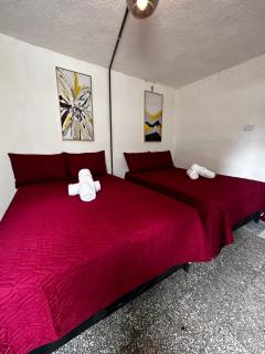 CASA MAGNOLIA - Guatemala - 2