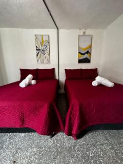 CASA MAGNOLIA - Guatemala - 3