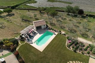 Les Oliviers De Notre Dame - 8