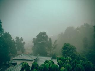 Eyeful Ella Hostel - 8