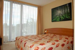 Hotel Balneolum Superior - Quedlinburg - 9