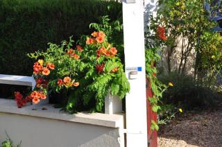 La Petite Tuilerie - Villefranche-Sur-Cher - 1