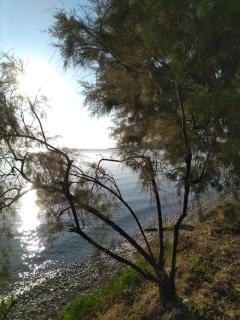 Mare nostrum 2 - Alykes Zakynthou - 5