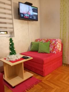 Apartman Radmanovac 2 - Vrnjačka Banja - 8