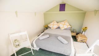 Silverstone Glamping and Pre-Pitched Camping with intentsGP - Silverstone - 7