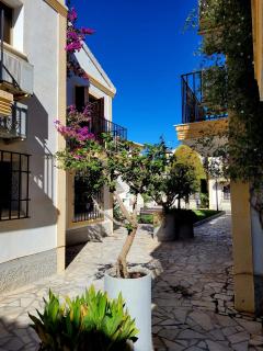 La Casa de Flores - Vera - 7