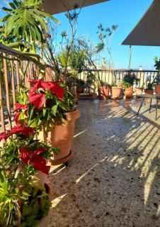 City Centre Oasis - Atene - 9