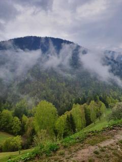 Mosorel - Măgura - 4