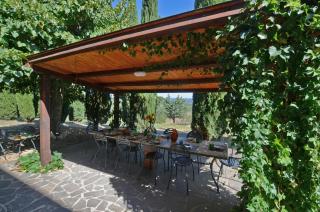Villa Piandisette - Cetona - 6