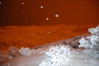 Zomerhuisje Wijk aan Zee - 8