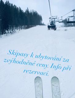 Pension Grizzly - Ludvíkov - 8