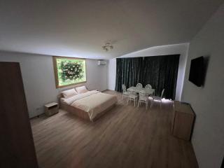 Casa Privata Airport Bucharest Therme Bucharest - Baloteşti - 1