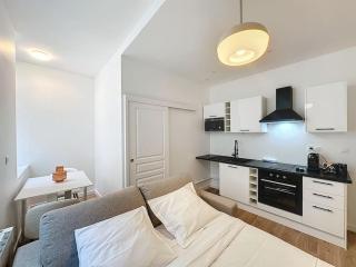 Cosy studio, Centre Ville Thomassin 1 - Lione - 3