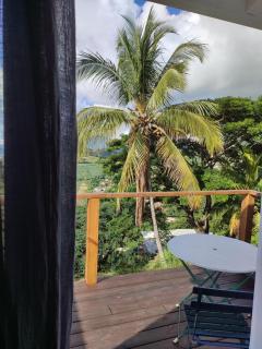 VillAnolis Martinique - Le Carbet - 2