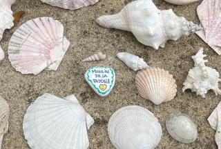 Moulin de la Fayolle - 8