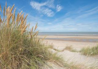 Salty - Vakantiehuisje op de grens van Bredene-De Haan - Bredene - 1