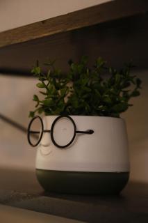 Albi Apartment Tirana - 1