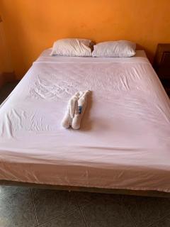 Hotel Aurora - 6
