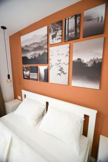 Chic Mountain Studio - Braşov - 5