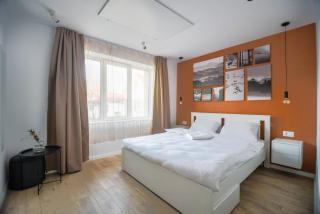 Chic Mountain Studio - Braşov - 1