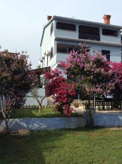 The blue house - Vinkuran - 5