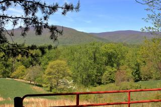 Fairhill Farm Country Vacation Rentals - Stanardsville - 1