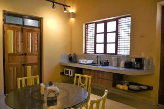 Trilliza Amarilla - 9