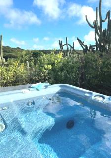 Very quiet apartment with lots of privacy and a tub on the edge of a national park! - Savaneta - 9