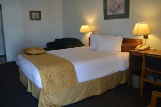 Circle 5 Motel - Olds - 5