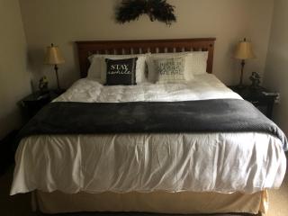 Plush garden level apartment near Stowe - Morristown - 0