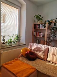 Apartament Borówka - 7