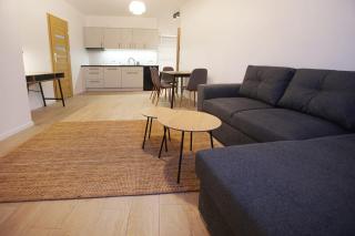 Apartamenty 110 Okrąglak Stronie Śląskie - Stronie Śląskie - 5