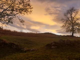 Chez Ghislaine à l'Oustal - 8