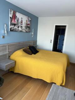 appartement bord de la plage - Dinard - 6