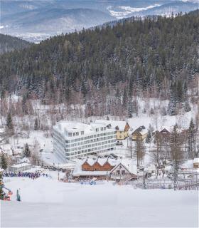 Apartment Snow & Spa Czarna Góra Resort - 8