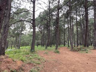 Las Nubes - Mazamitla - 8