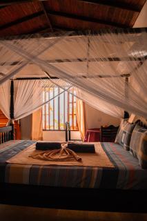 Ibisbird Beach Bungalows, Sport, Spa and Restaurant - Tangalle - 5