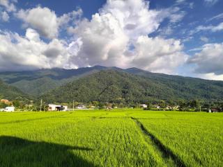 ภูคาวิว โฮมสเตย์ - 1