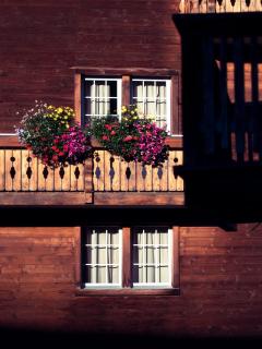 Boutique Hotel La Cabane - Bettmeralp - 7