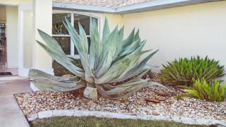 Su Casa - XXL pool area PoolSpa 3 Bedroom 2 Bath - Cape Coral - 2