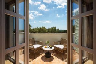 Rustic Villa Rorripa with a pool in Istria - 5