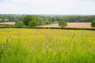 Jossie's Snug - Bletchingley - 9